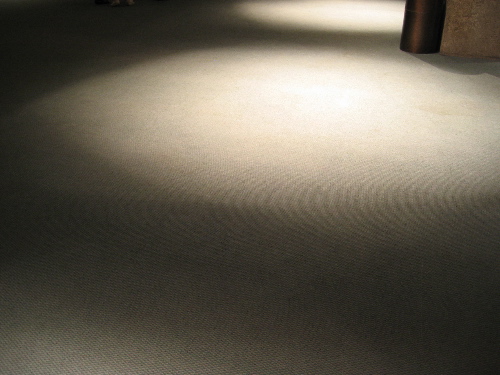 alice tully carpet.jpg